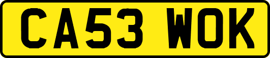 CA53WOK