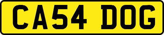 CA54DOG
