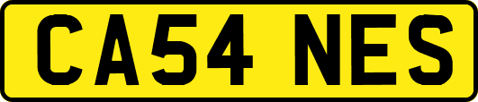 CA54NES