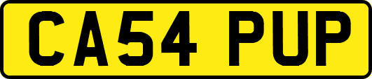 CA54PUP