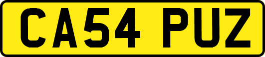 CA54PUZ