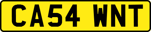 CA54WNT