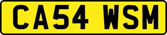 CA54WSM