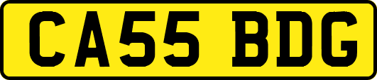 CA55BDG