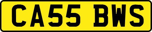 CA55BWS