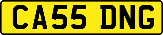 CA55DNG