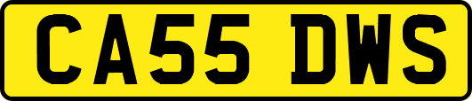 CA55DWS