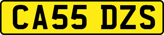 CA55DZS