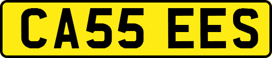 CA55EES