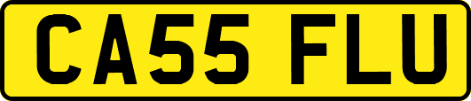 CA55FLU