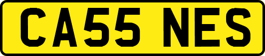 CA55NES