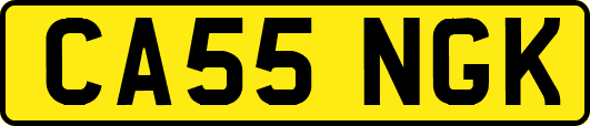 CA55NGK
