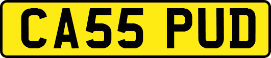 CA55PUD