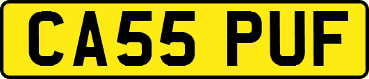 CA55PUF