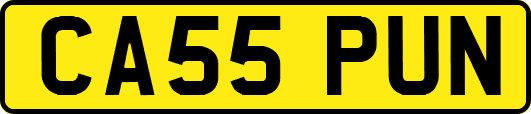 CA55PUN