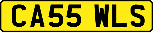 CA55WLS