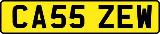 CA55ZEW