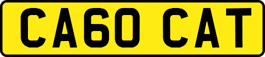 CA60CAT