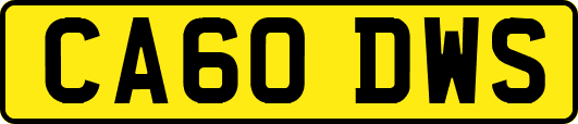 CA60DWS