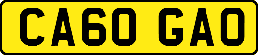 CA60GAO