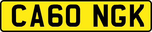 CA60NGK