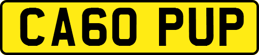 CA60PUP