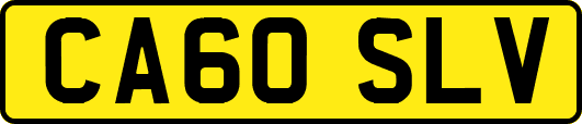 CA60SLV
