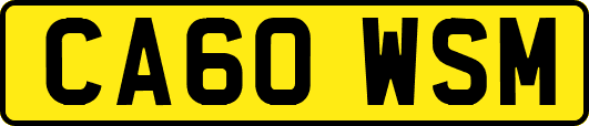 CA60WSM