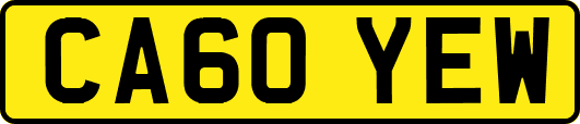 CA60YEW