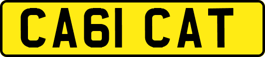 CA61CAT