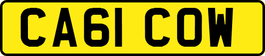 CA61COW
