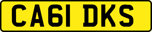 CA61DKS