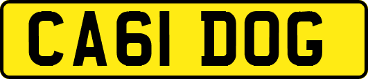 CA61DOG