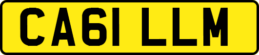 CA61LLM