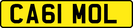 CA61MOL