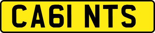 CA61NTS