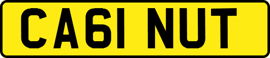 CA61NUT