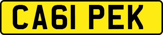 CA61PEK