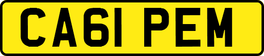 CA61PEM