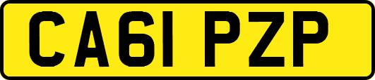 CA61PZP