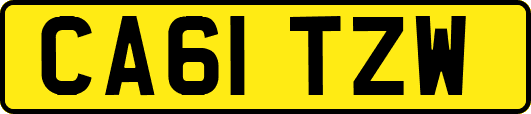 CA61TZW