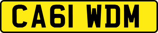 CA61WDM