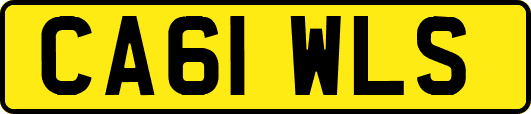 CA61WLS