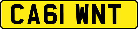 CA61WNT