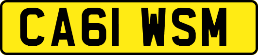 CA61WSM