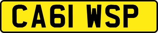 CA61WSP