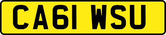 CA61WSU