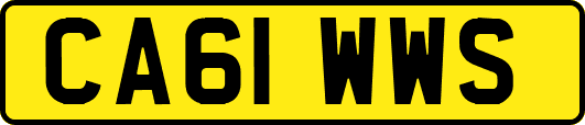 CA61WWS