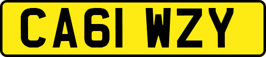 CA61WZY