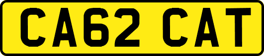 CA62CAT